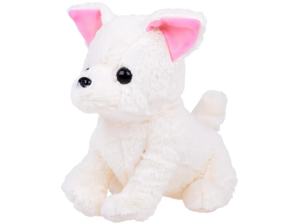 Piesek jak pluszowy miś: poznaj Tonkeya i urocze zabawki