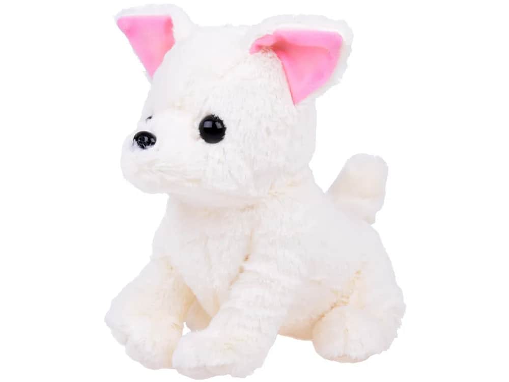 Piesek jak pluszowy miś: poznaj Tonkeya i urocze zabawki