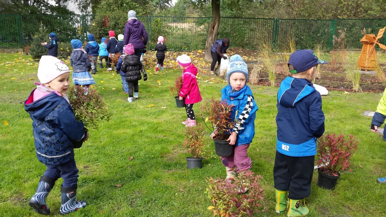 Ogród sensoryczny dla dzieci: jak wspiera rozwój i zabawę